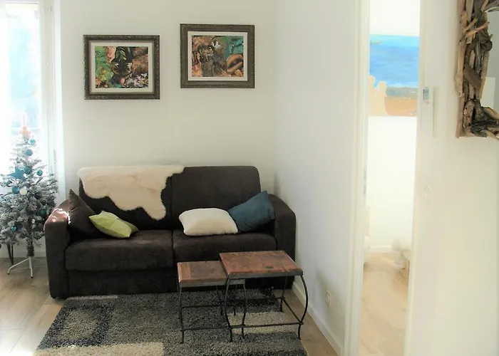 Ausoleil 2 Pieces Cosy Ensoleillé, à Pied, 50 M Du Vieux Port * Saint-Raphaël