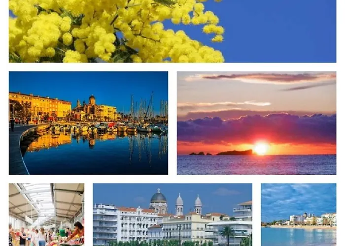 Ausoleil 2 Pieces Cosy Ensoleillé, à Pied, 50 M Du Vieux Port Saint-Raphaël