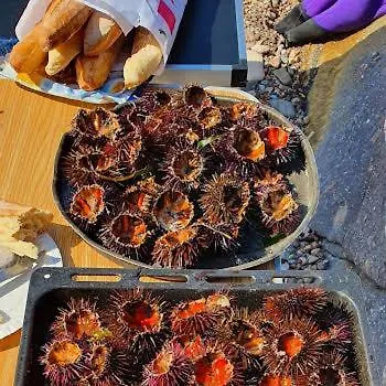 Appartamento Ausoleil 2 Pieces Cosy Ensoleillé, à Pied, 50 M Du Vieux Port *